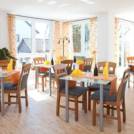 Merlin フィルダーシュタット